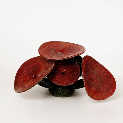 Jonas Rooth, Svampobjekt, Naturen har alltid haft en plats hos mig. Den innehåller skönheten, något som vi lätt känner igen men som ofta kan vara svårt att förklara. Naturen har mitt i sin skönhet enförmåga att framstå som hotfull och farlig. Mina arbeten vill fånga det komplexa och slumpartade hos naturen samt nyttjar glasets förmåga att gestalta tyngd och rörelse. Förhållningssättet till mitt arbete har alltid grundat sig på en lust för färg och form och en stark vilja att se hur långt jag kan sträcka mina uttryck. Har alltid fascinerats av det komplexa och repetitiva, både hos det jag finner i naturen och i det som människan har skapat. I glaset har jag funnit en unik bärare av färg och form. För mig är både det intuitiva och spontana arbetet i hyttan lika viktigt och roligt som det koncentrerade och planerade arbetet med slipning och montering efteråt. Jonas Rooth