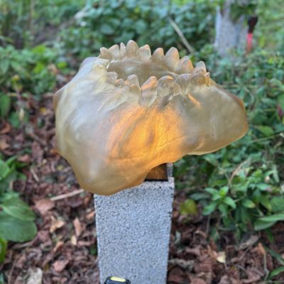 Nana Seydani, Skiftning - detalj