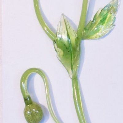 Ebba von Wachenfeldt, Naturens bro detalj